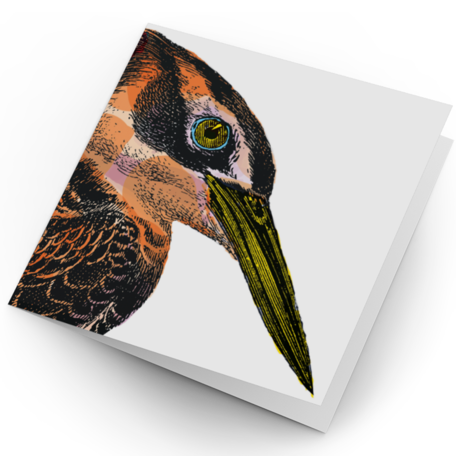 Kingfisher Card